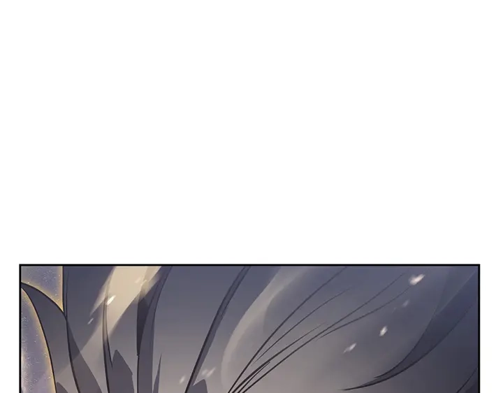第258页
