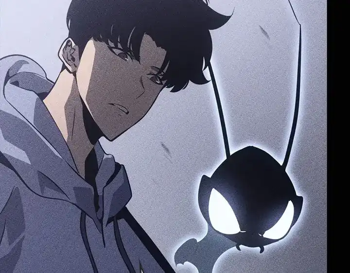 第244页