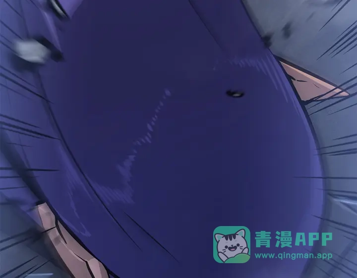 第251页