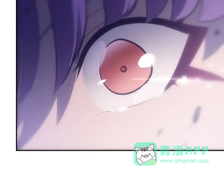 第236页