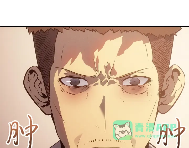 第231页