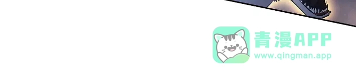 第256页