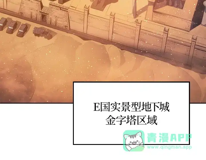 第231页