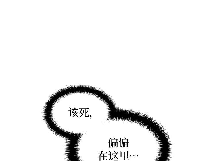 第247页