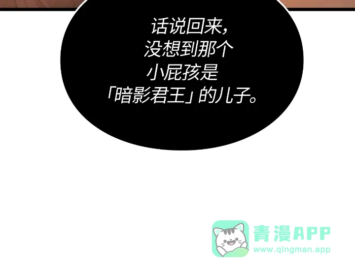 第231页
