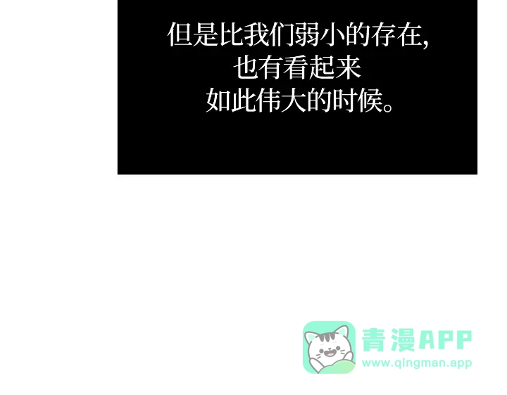第251页