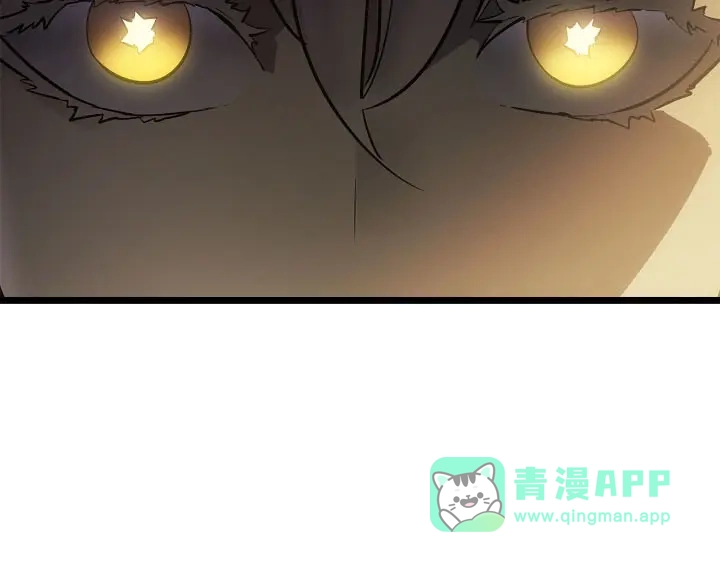 第251页