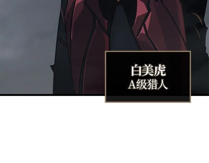 第242页