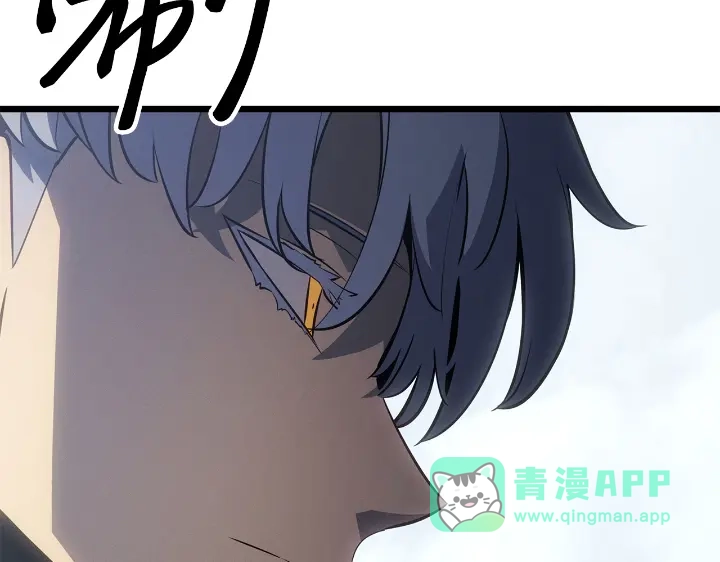 第266页