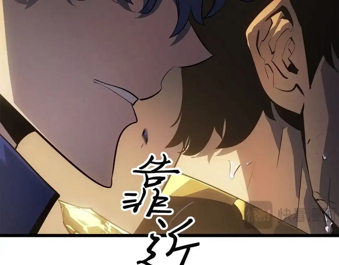 第239页