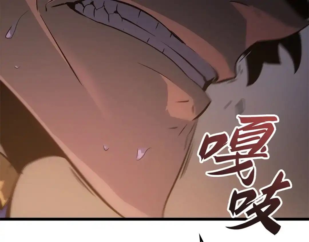 第245页
