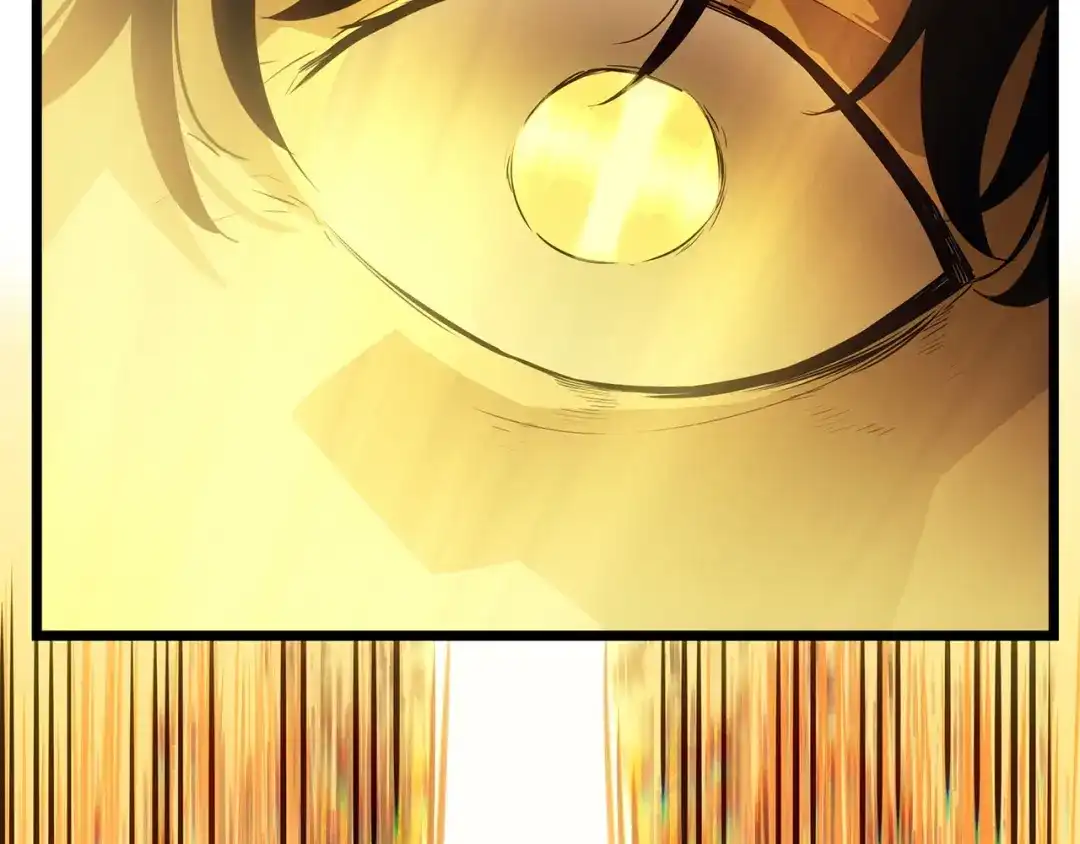 第259页