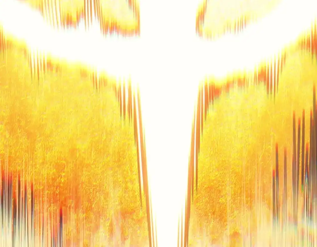 第262页