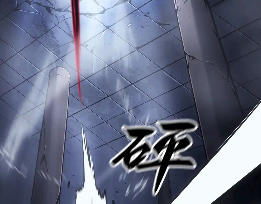 第239页