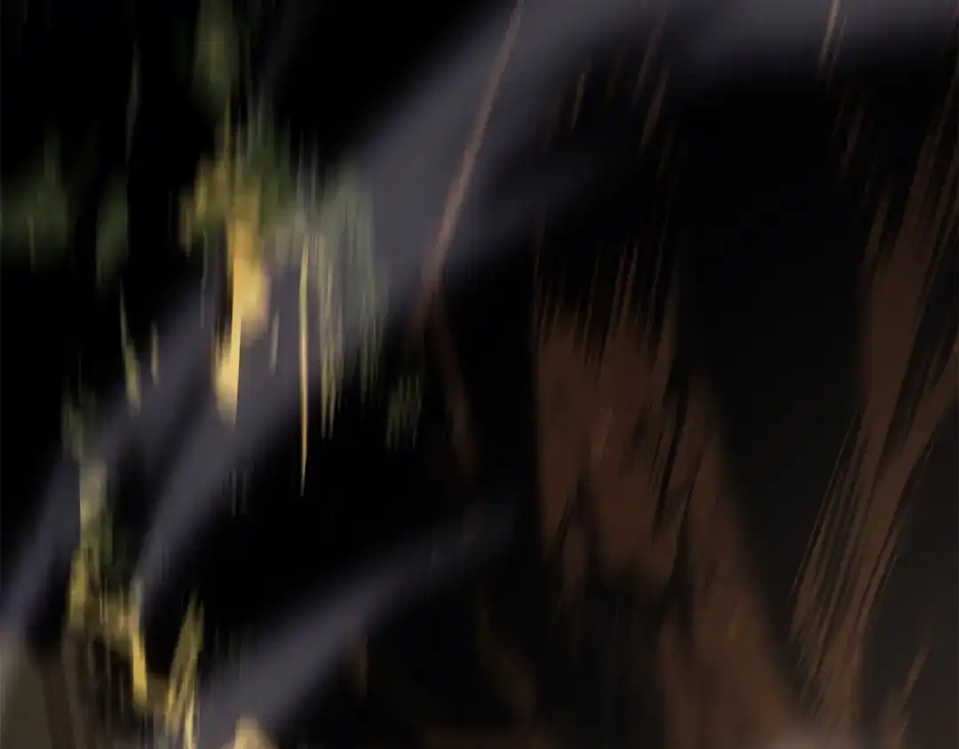 第243页