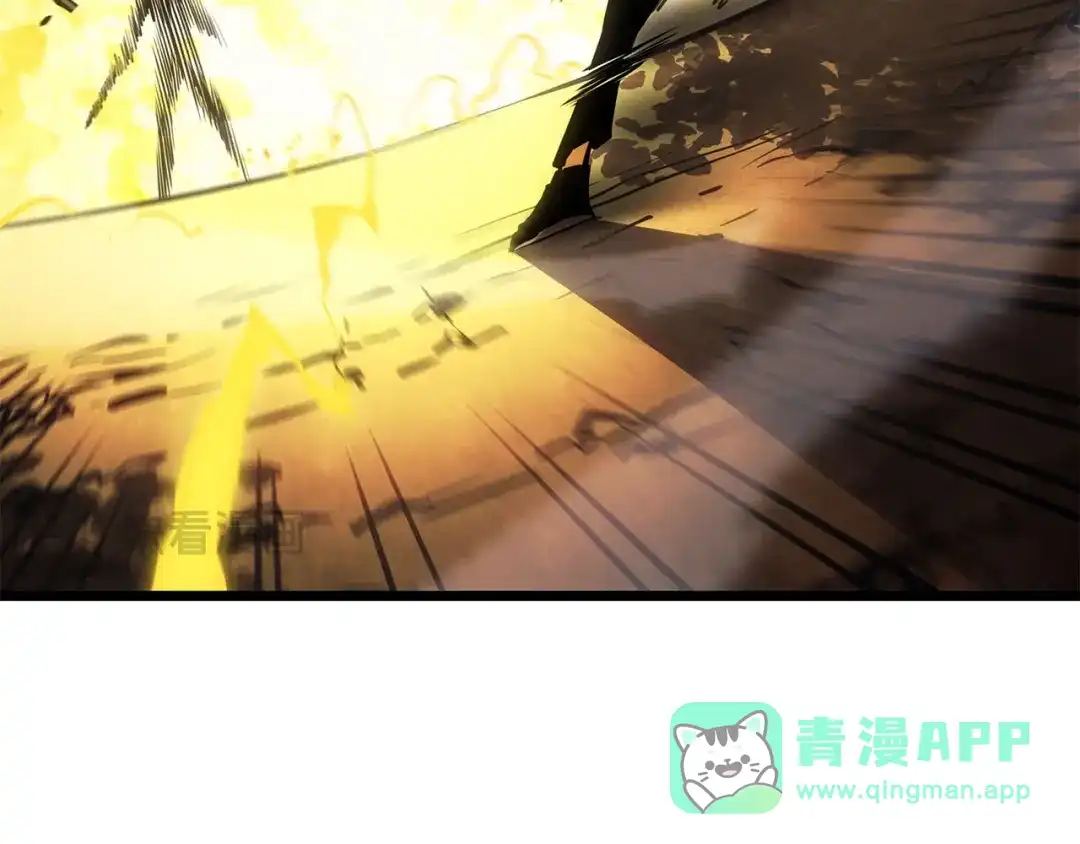第246页