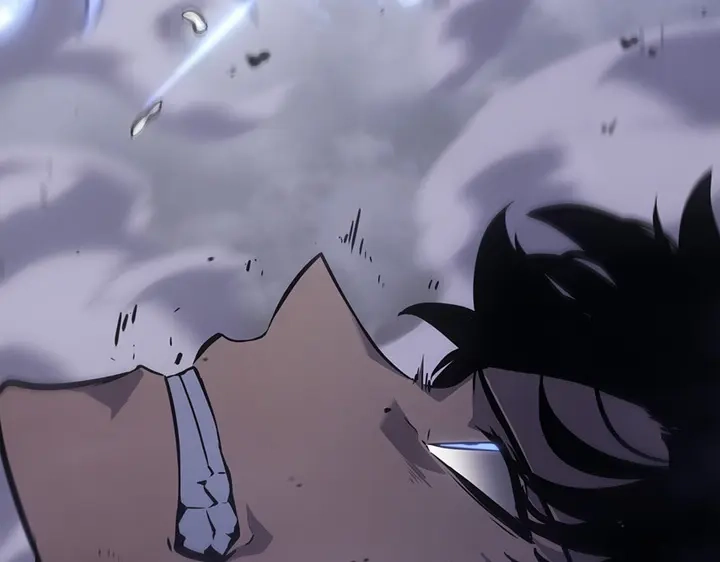 第223页