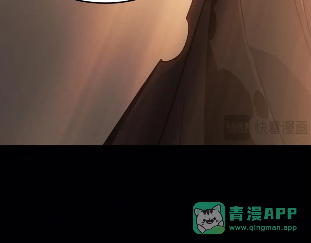 第206页