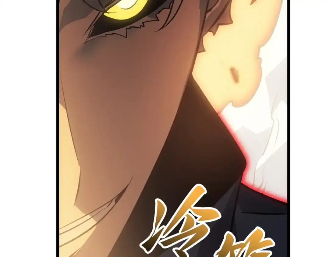 第224页