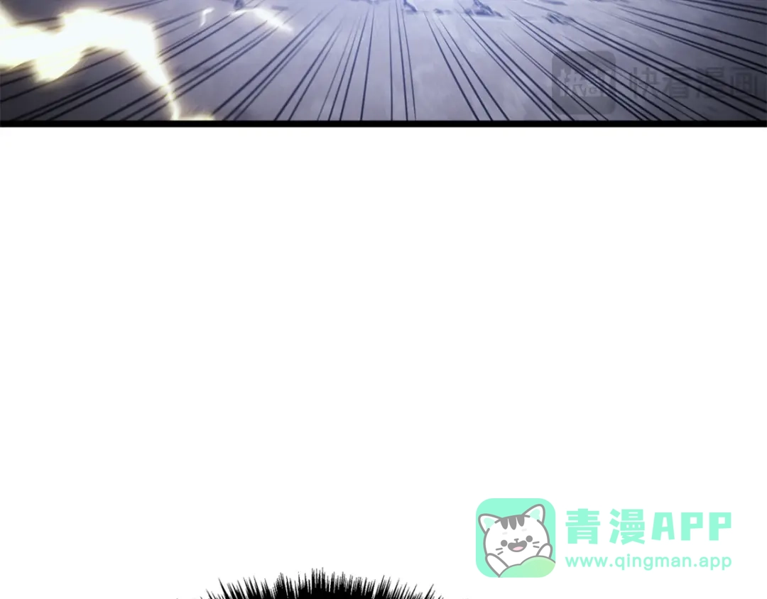 第231页