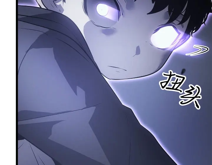 第217页