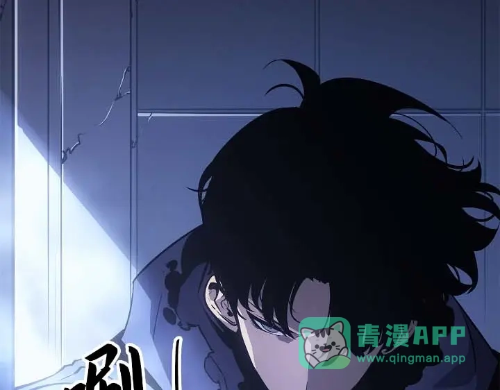 第256页