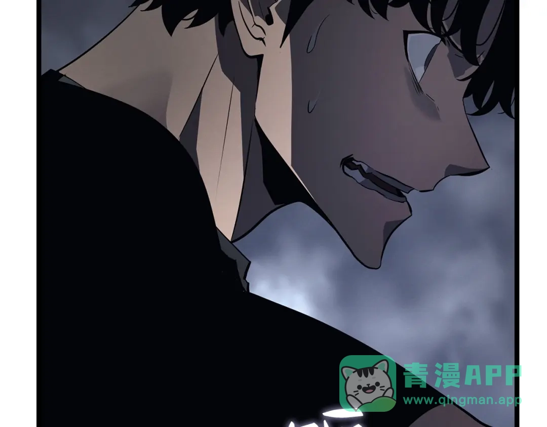 第216页