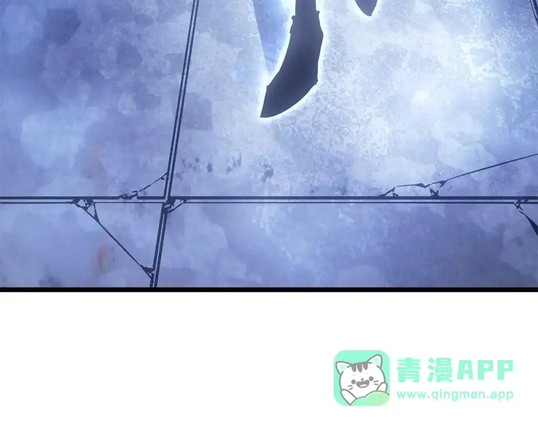 第251页