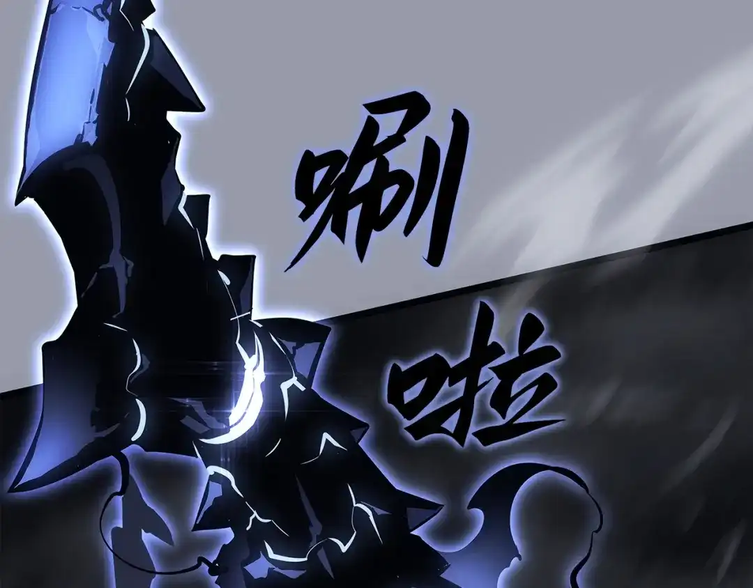 第209页