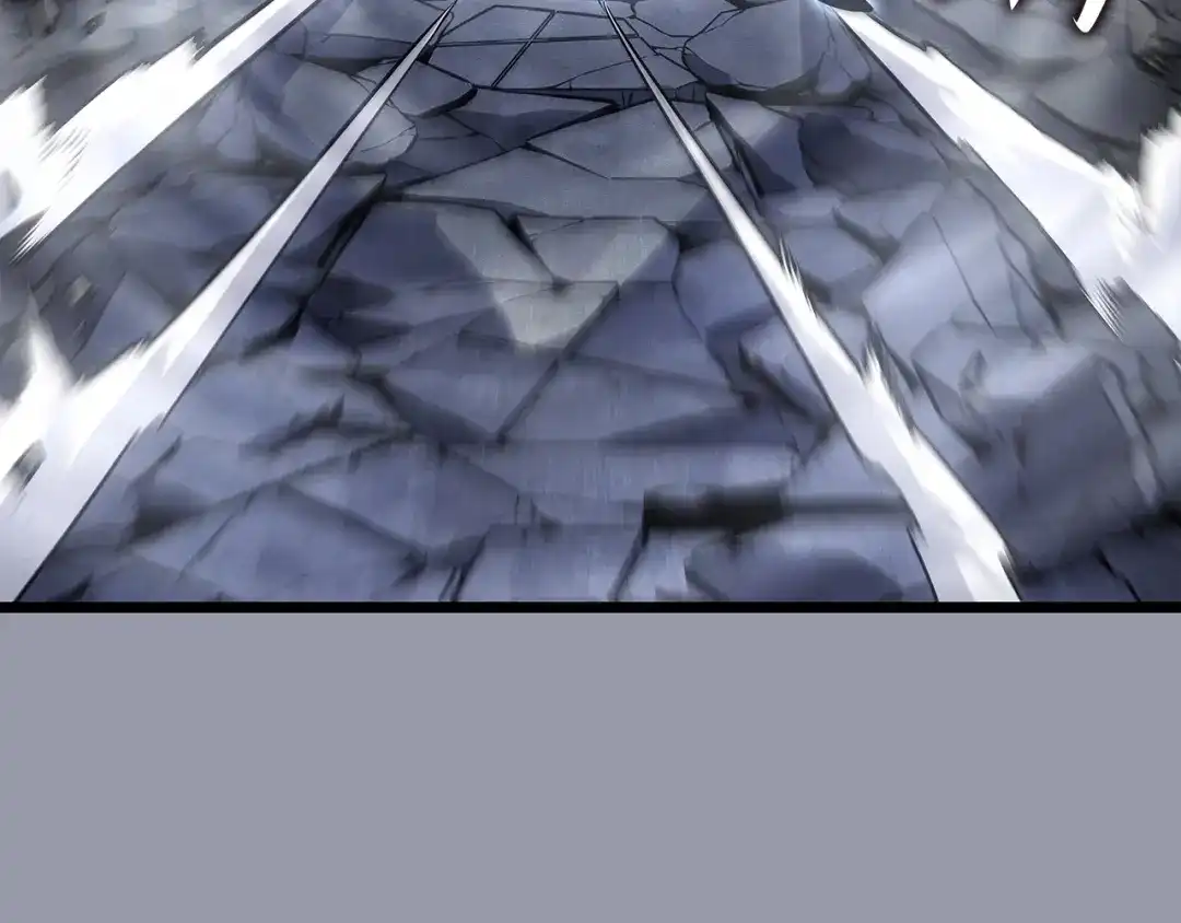 第223页