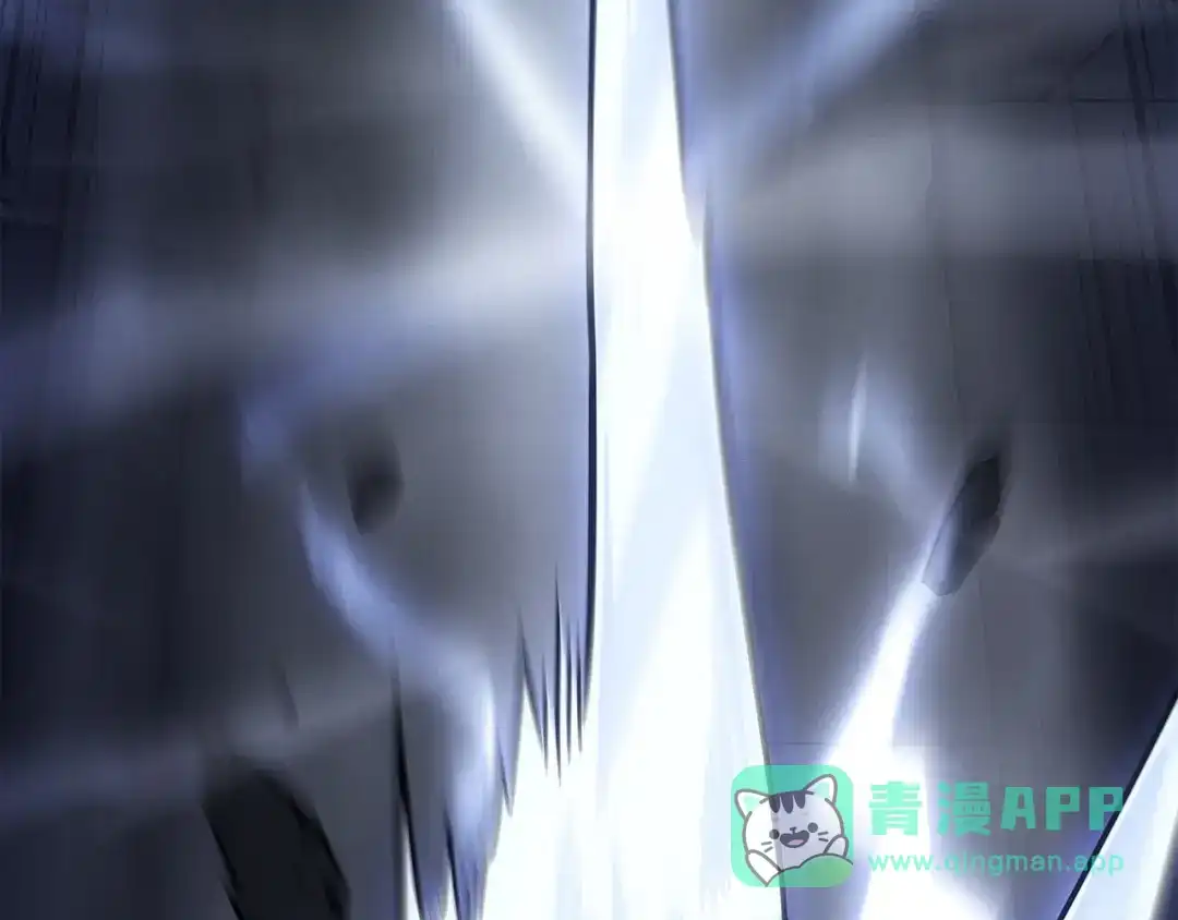 第231页