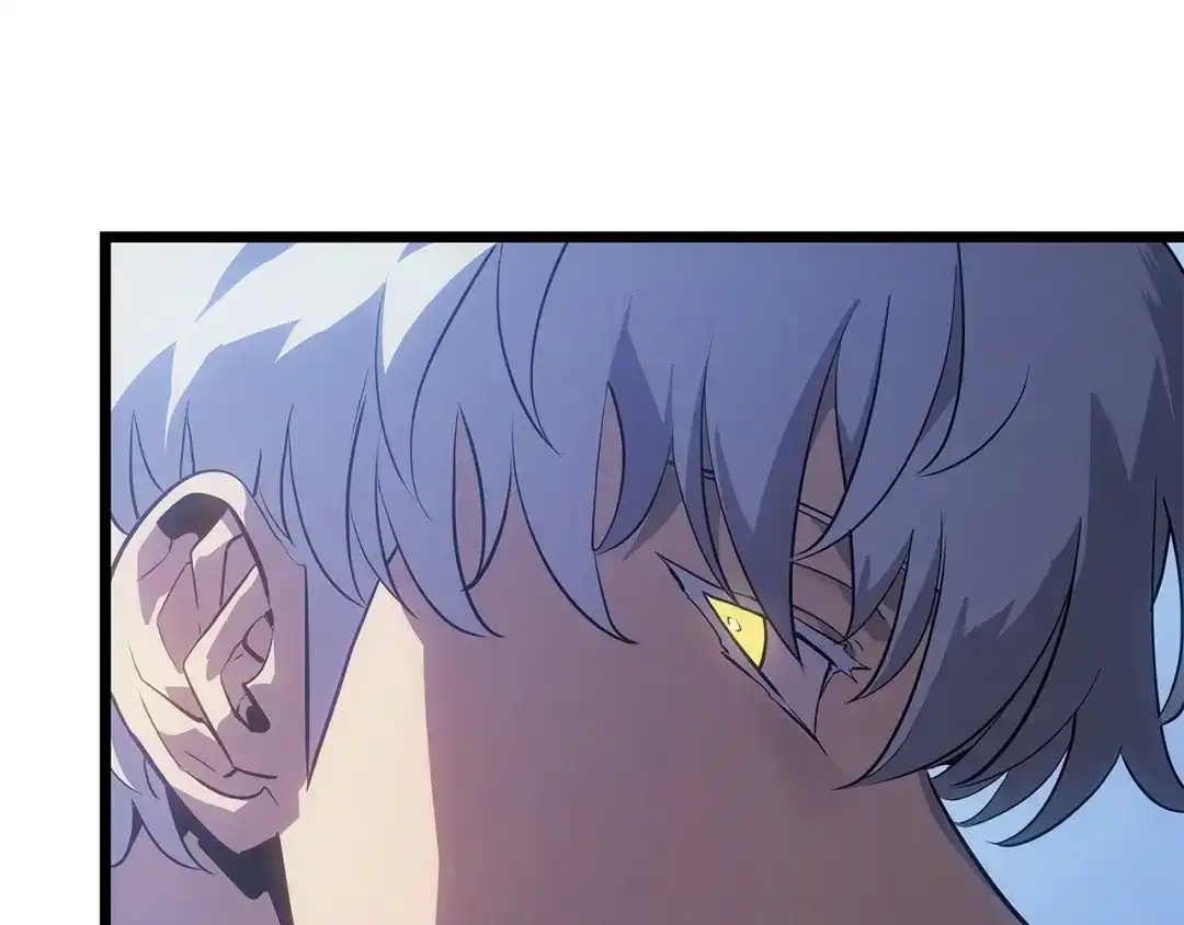 第238页