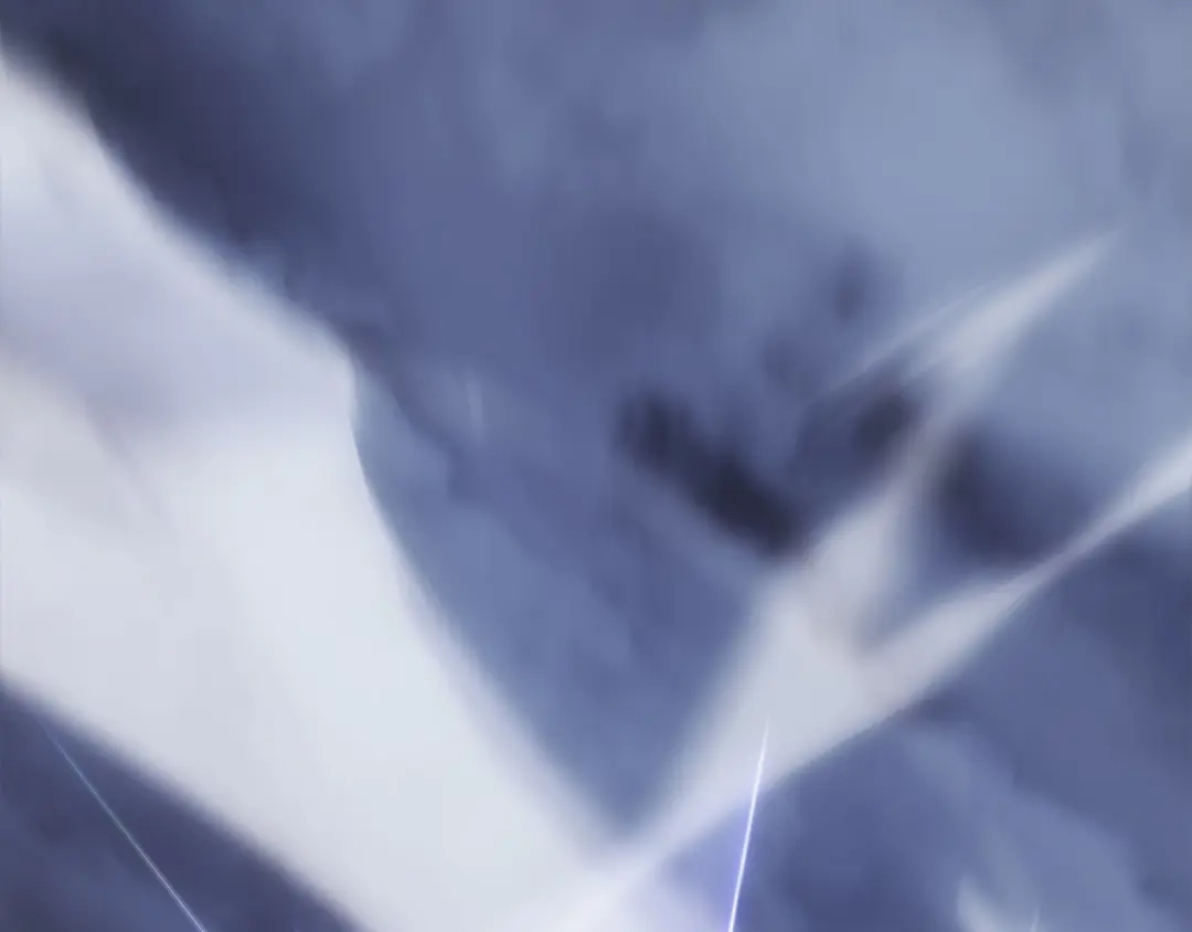 第217页