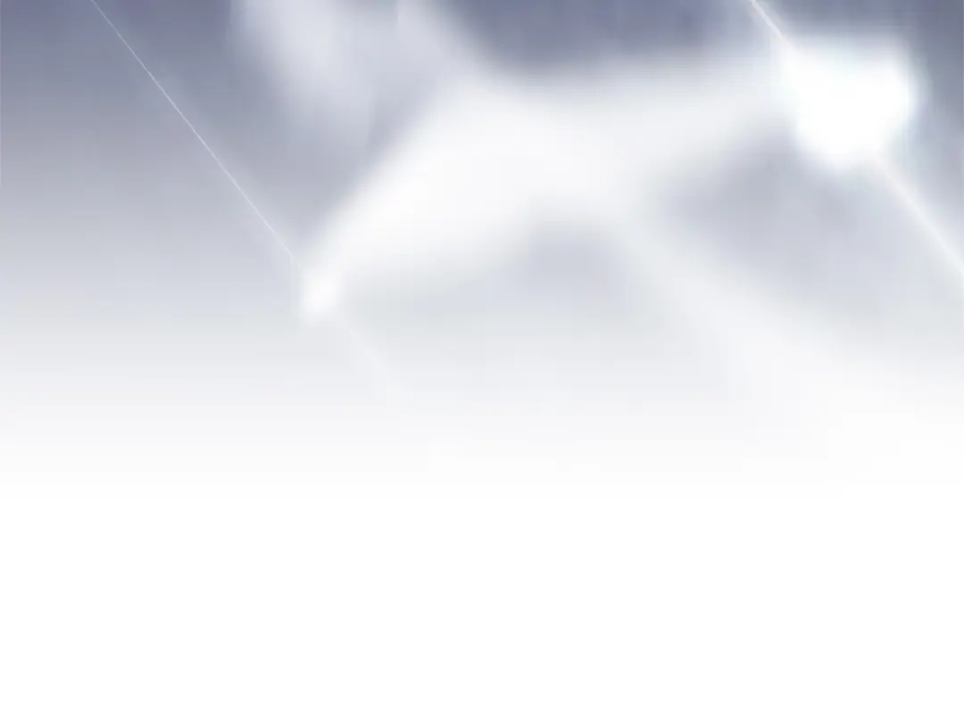 第222页