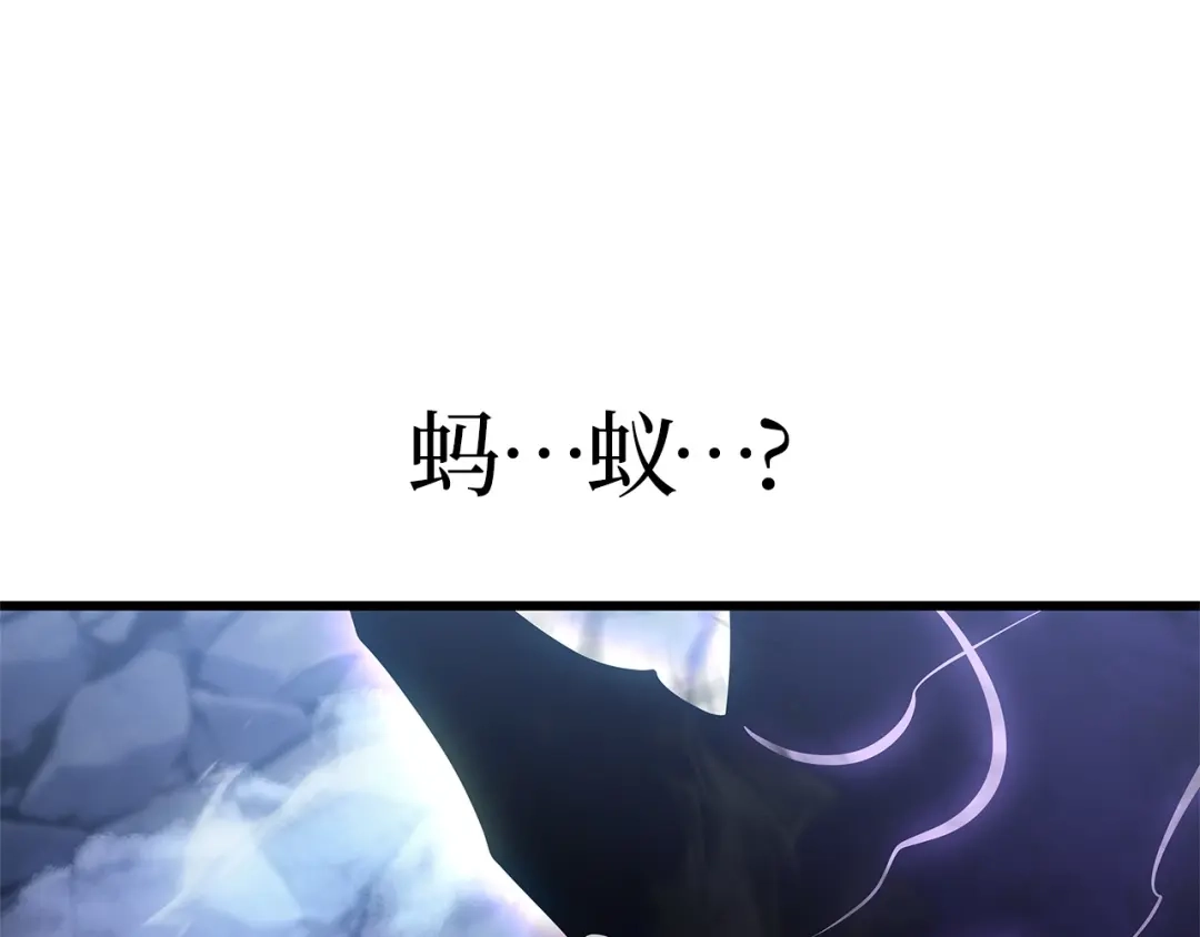 第238页