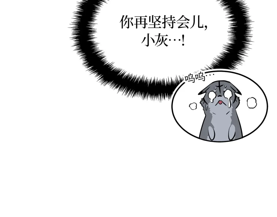 第187页