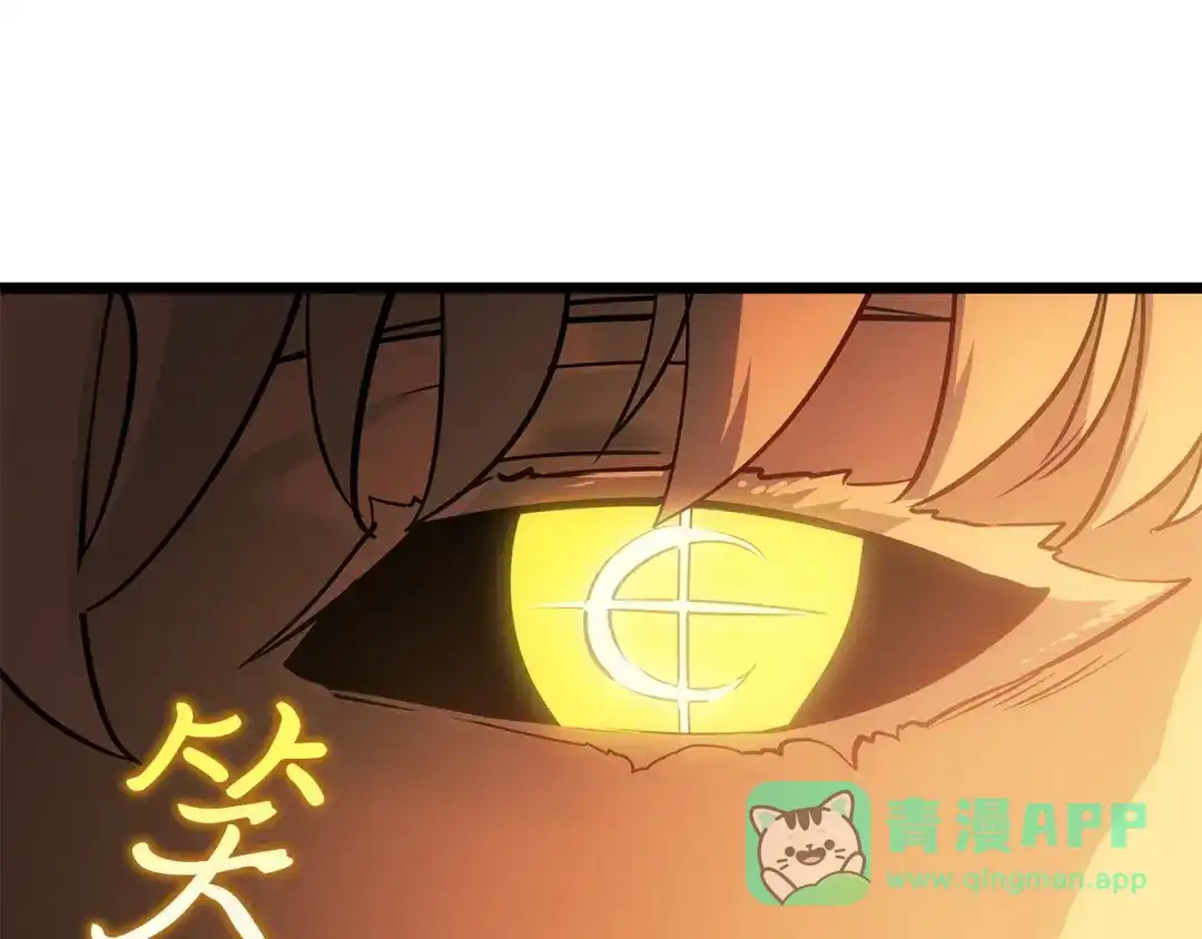 第231页