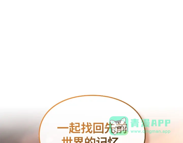 第291页
