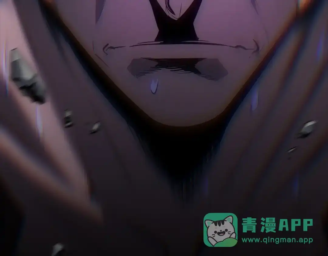 第231页