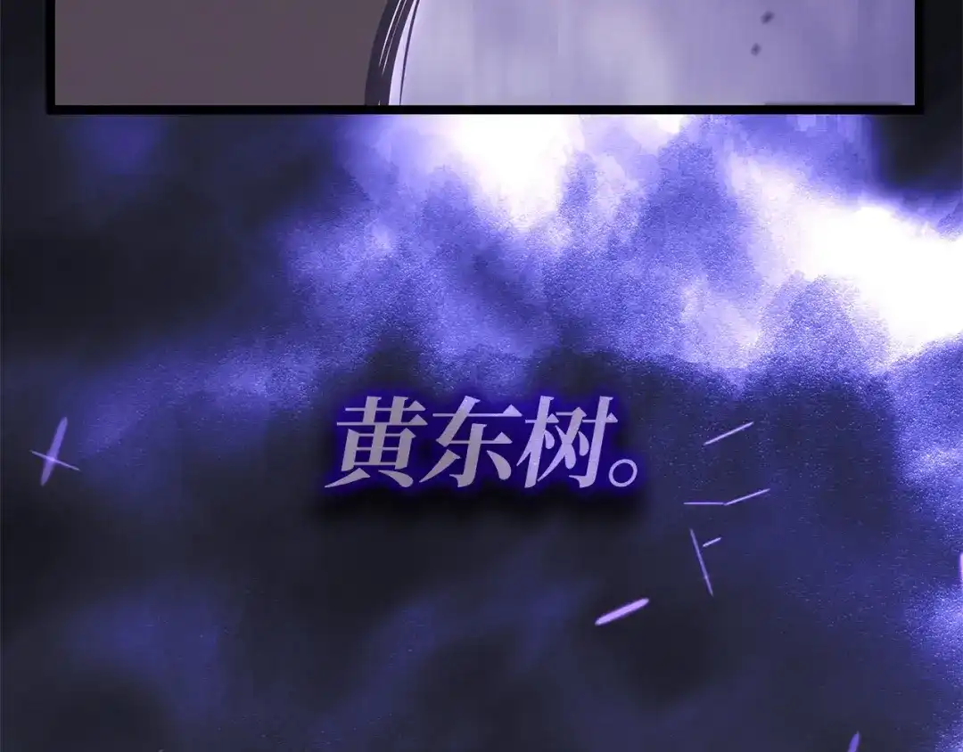 第239页