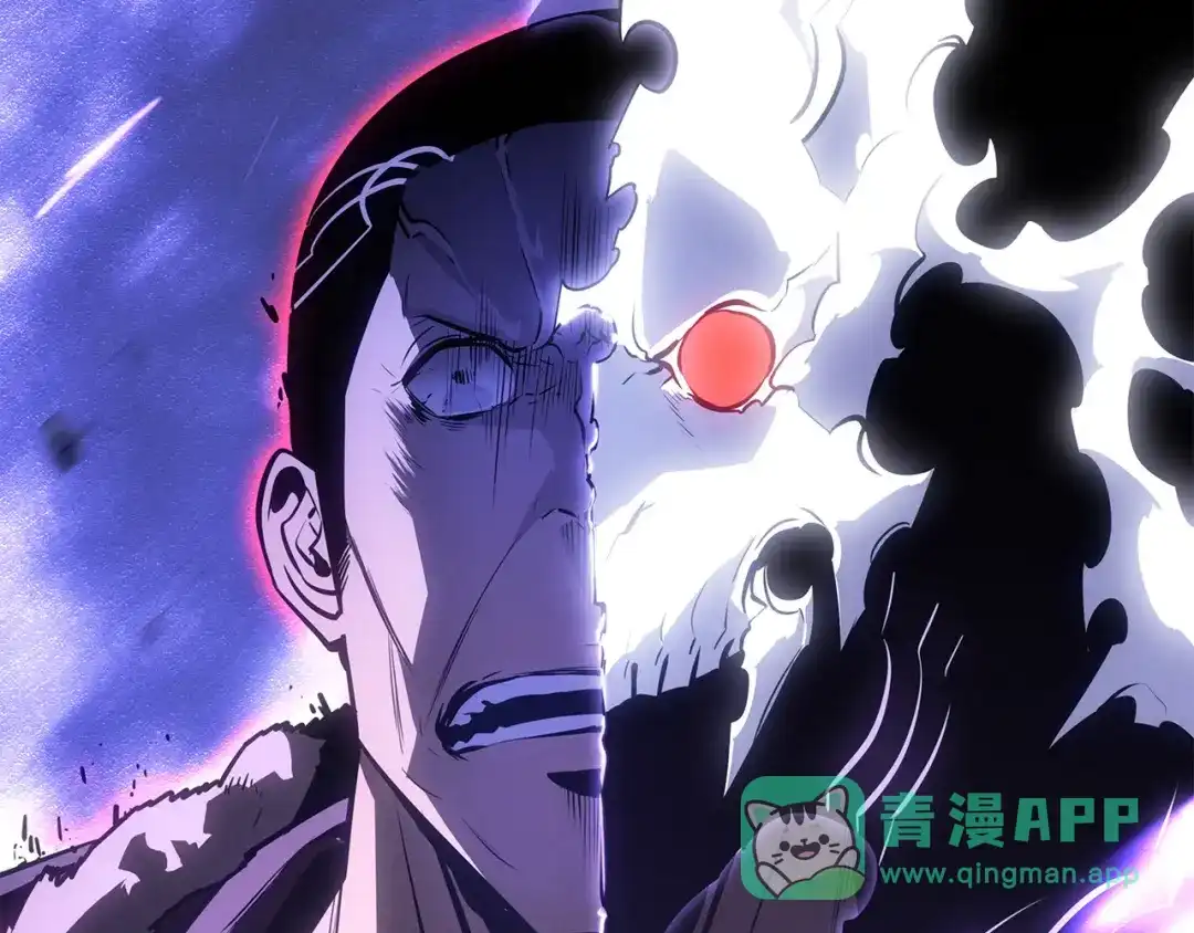 第241页