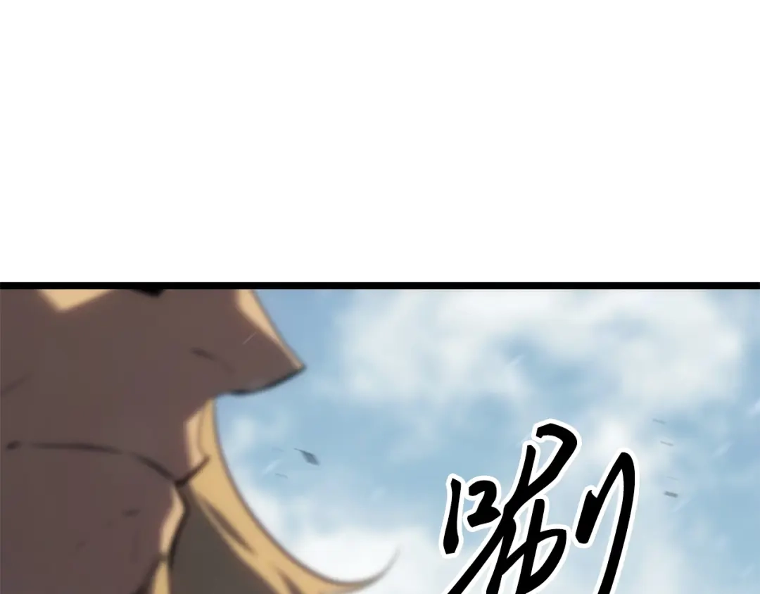 第223页