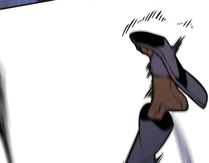 第204页