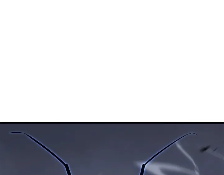 第244页