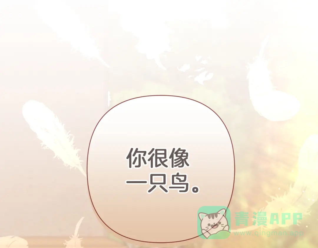 第226页