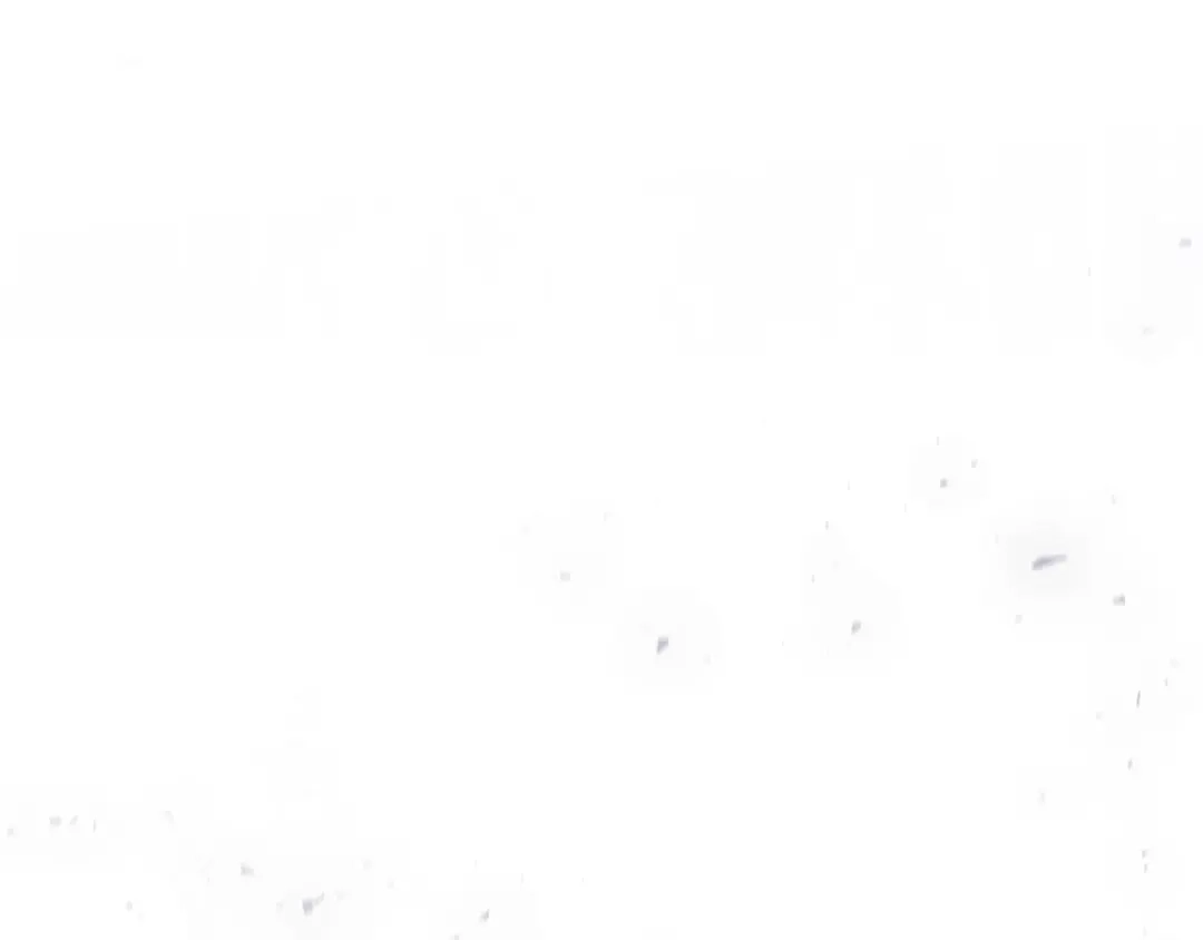 第187页