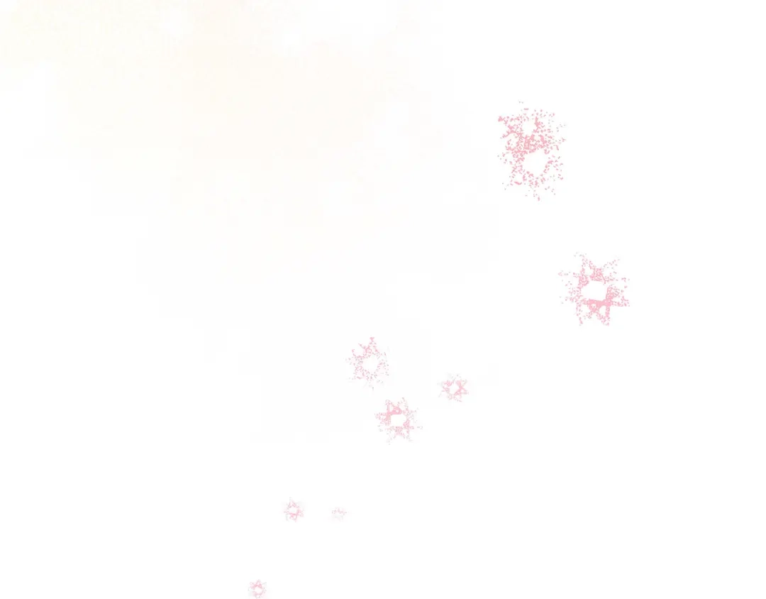 第204页