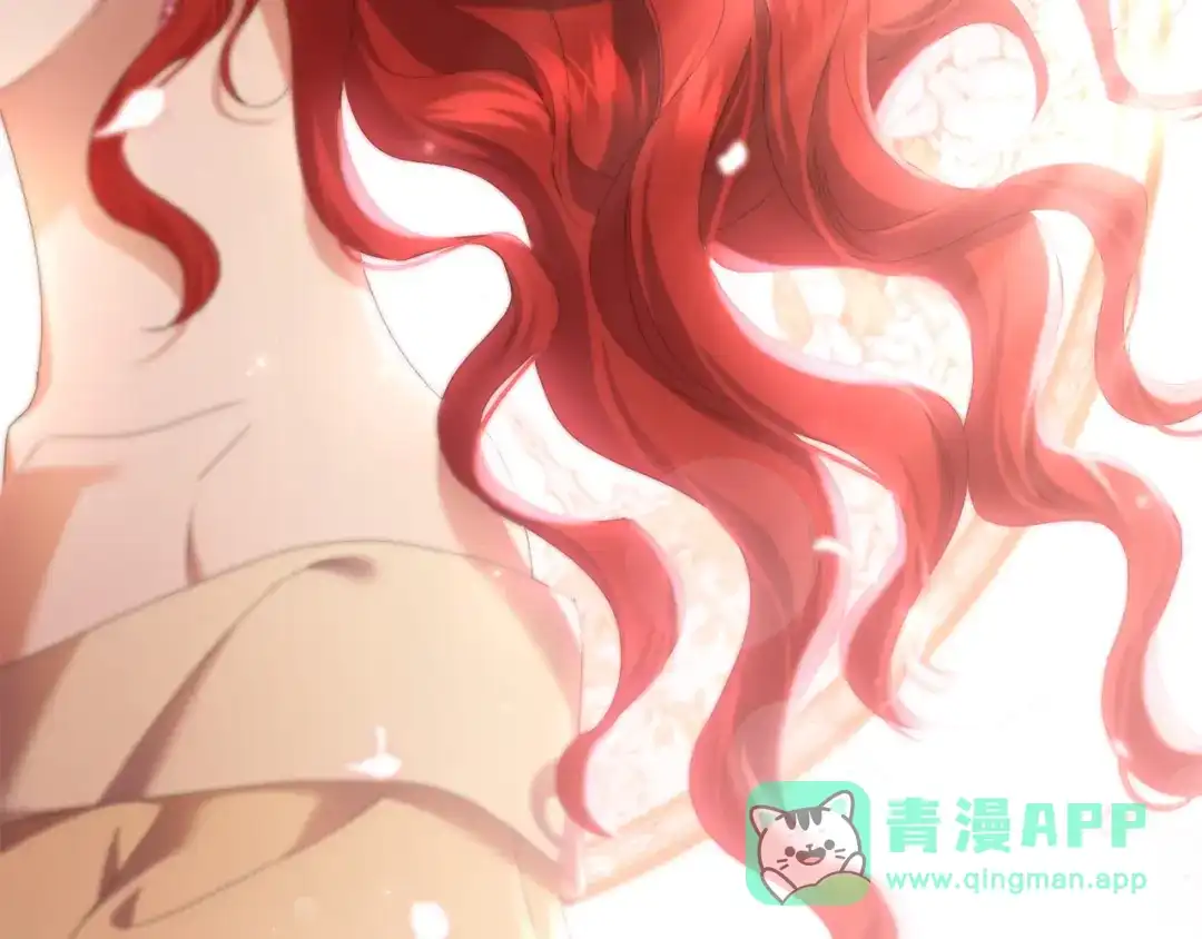 第206页