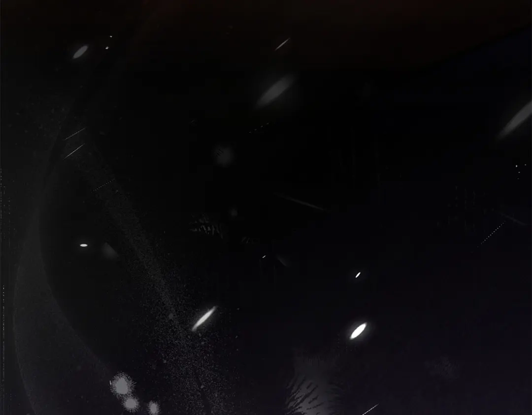 第217页