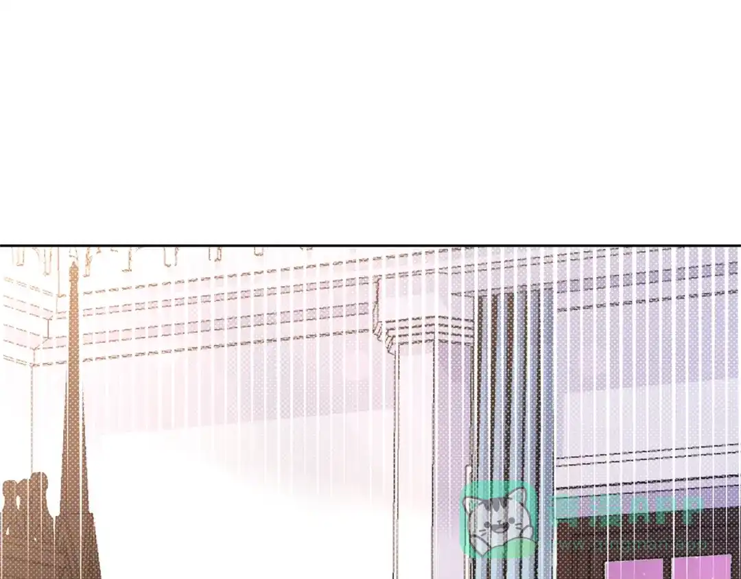 第246页